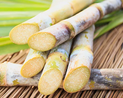 tile can aNatural carousel.jpg